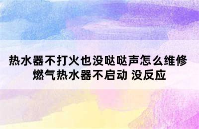 热水器不打火也没哒哒声怎么维修 燃气热水器不启动 没反应